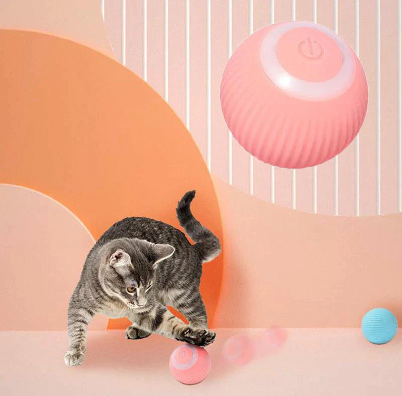 ChoppyPaws Interactive Ball