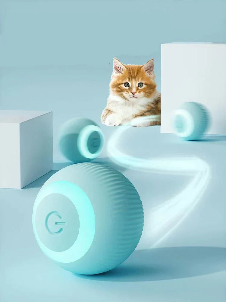 ChoppyPaws Interactive Ball