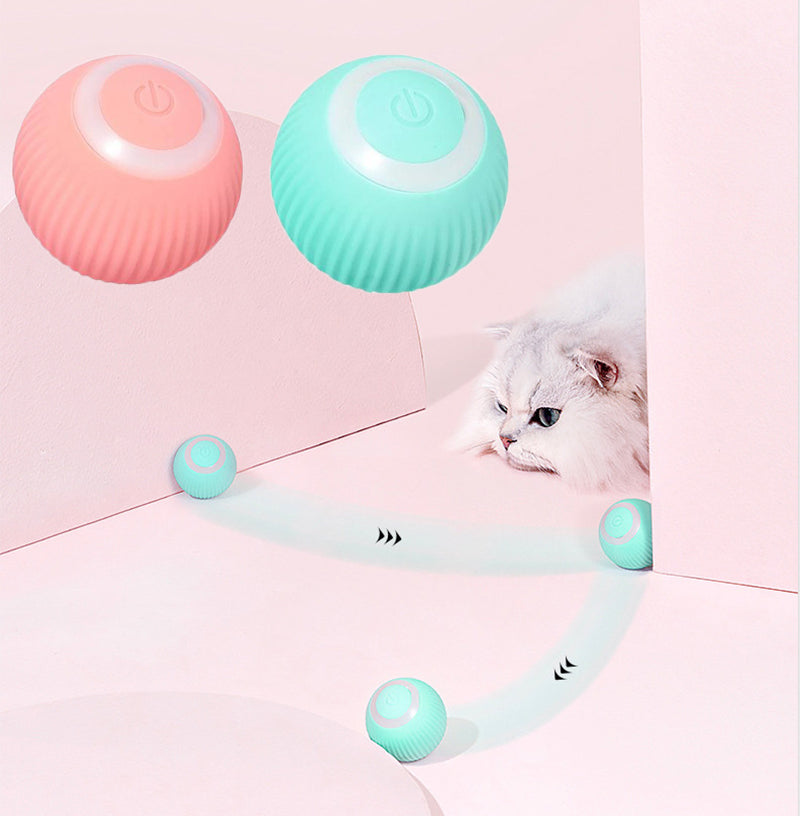 ChoppyPaws Interactive Ball