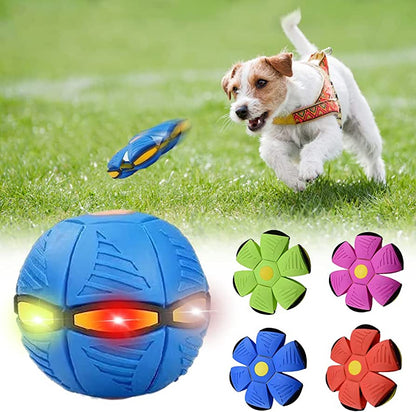 ChoppyPaws™ Dog Frisbee