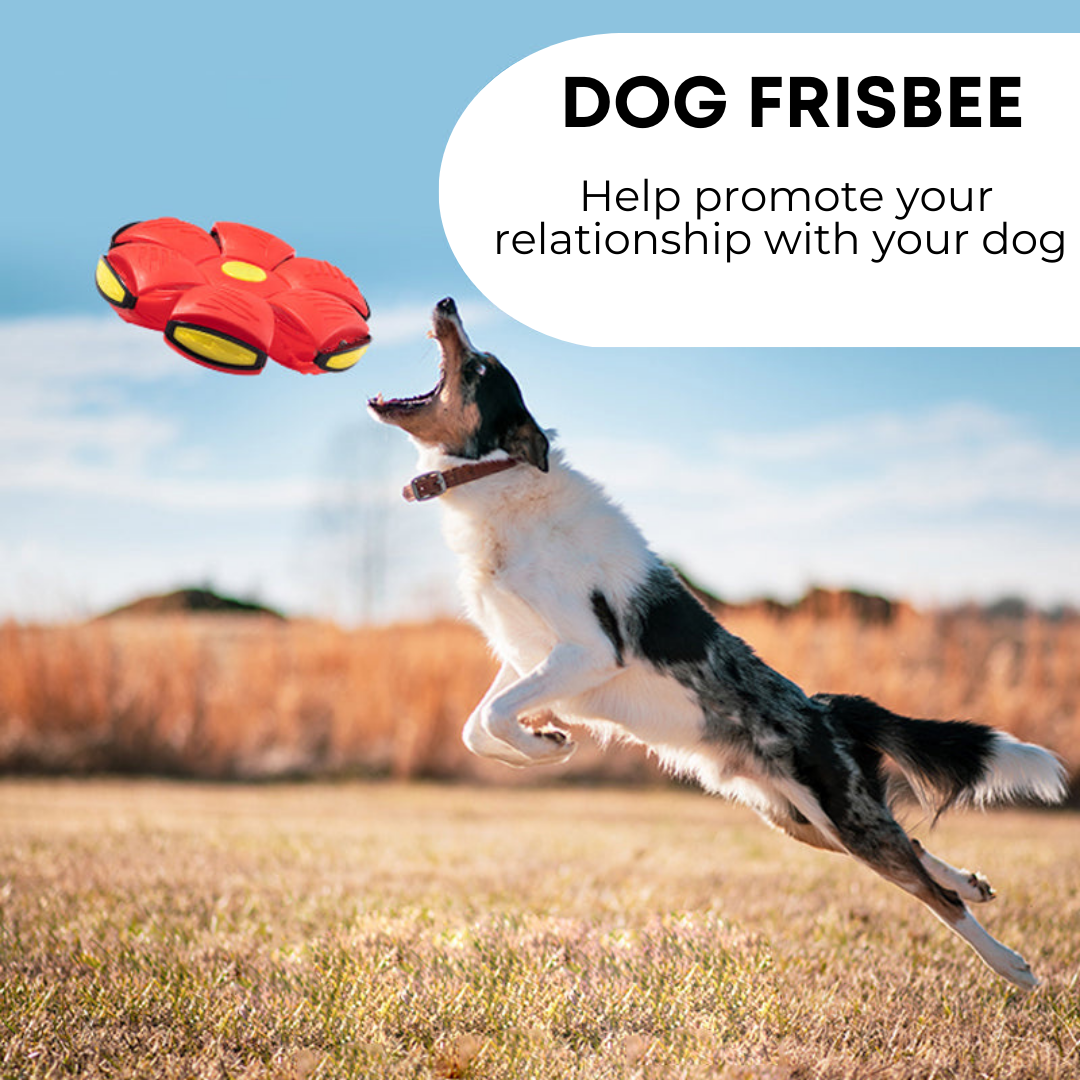 ChoppyPaws™ Dog Frisbee