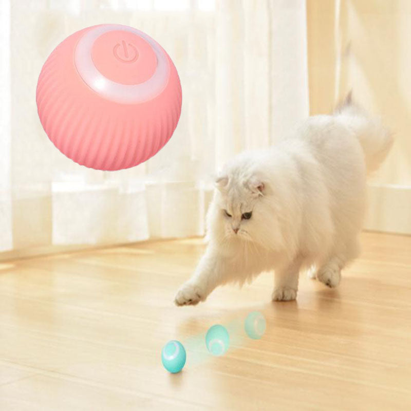 ChoppyPaws  Interactive Ball